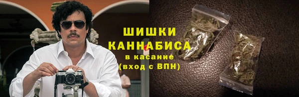 ГАЛЛЮЦИНОГЕННЫЕ ГРИБЫ Алзамай