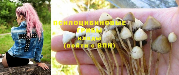 ГАЛЛЮЦИНОГЕННЫЕ ГРИБЫ Алзамай